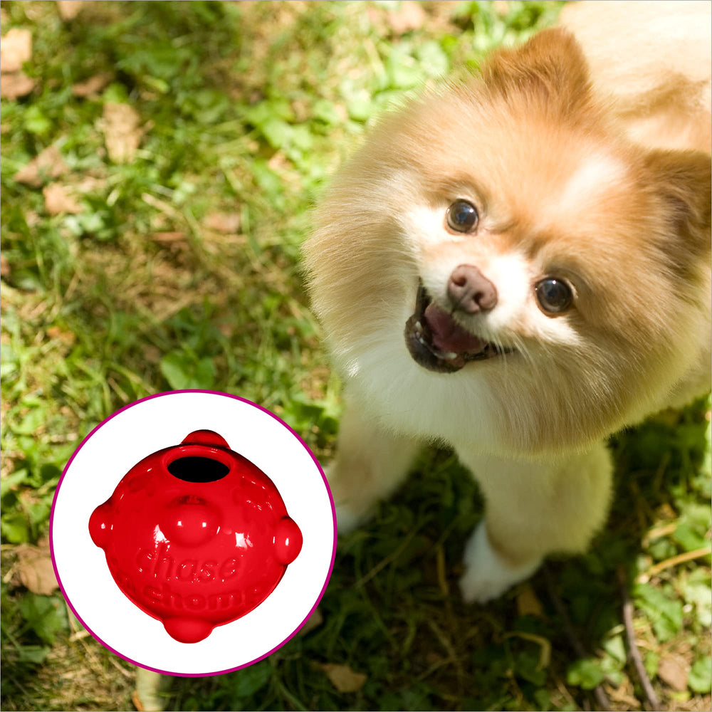 Chase 'n Chomp bola texturada externa para mordisqueo seguro