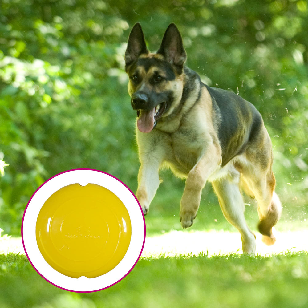 Disco de campo Chase 'n Chomp para mascotas, color amarillo, mejora la interacción y el ejercicio al aire libre.