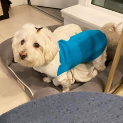 CHBORCHICEN sudadera cuello alto de lana suave para mantener cálido al perro