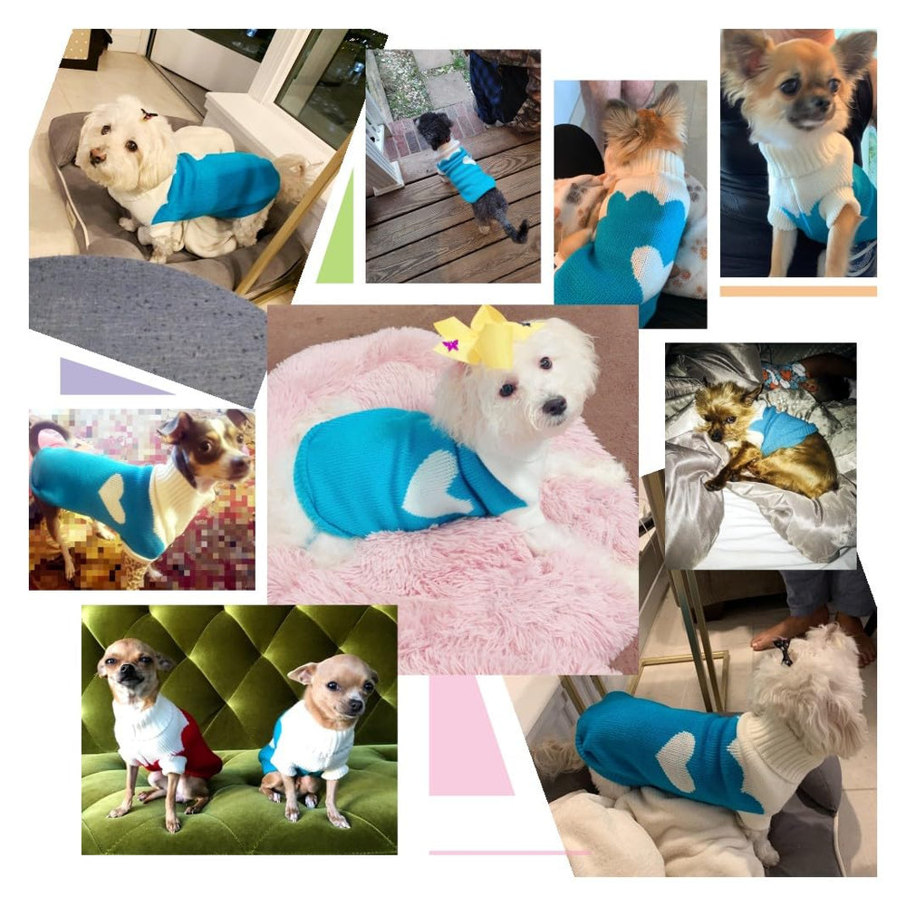 CHBORCHICEN prenda azul cielo para perros, perfecto para regalo o uso diario