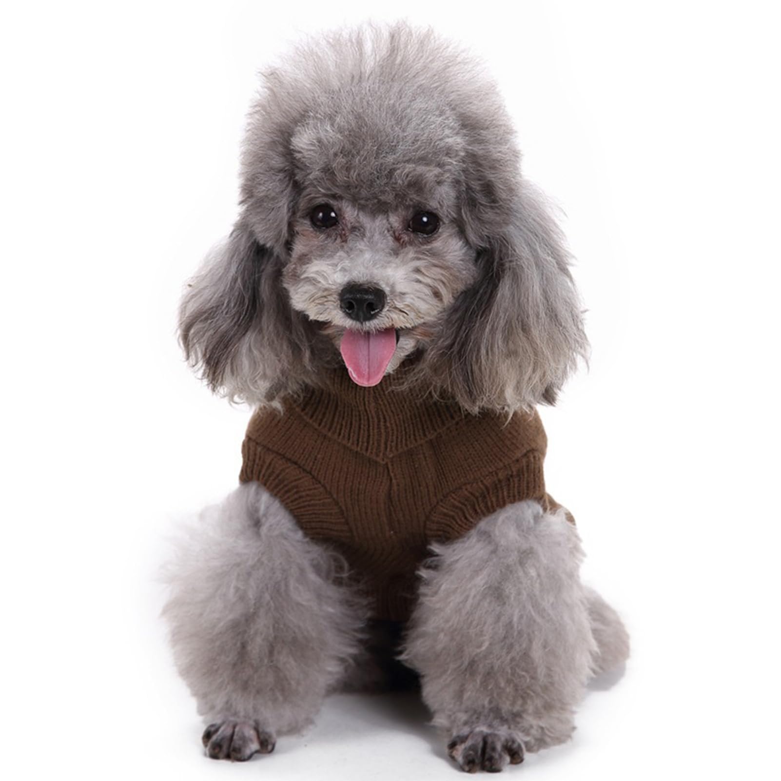 CHBORCHICEN sudadera para perro XS marrón, vista trasera y ajuste práctico.