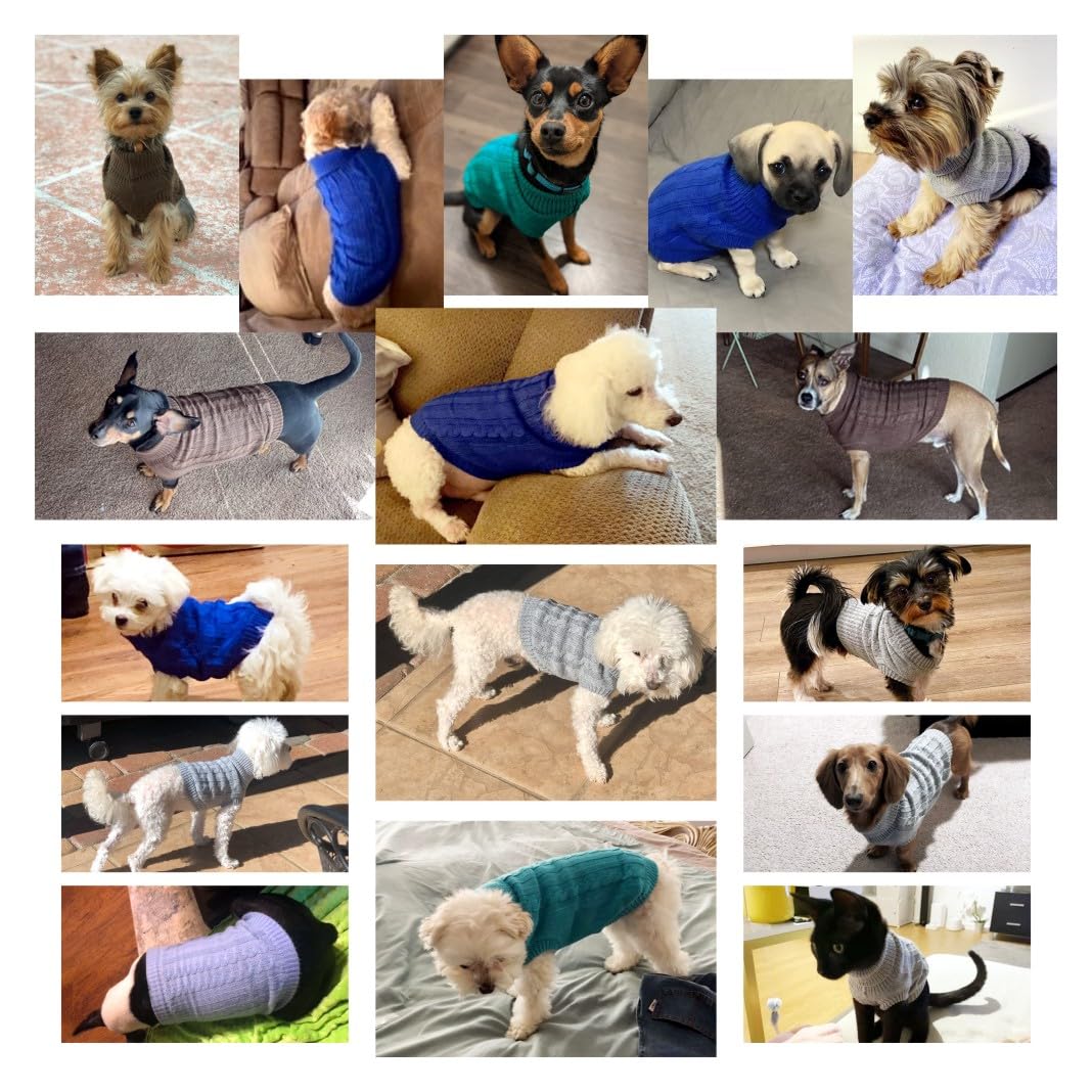 CHBORCHICEN suéter para perro pequeño verde borde costura reforzada para uso diario