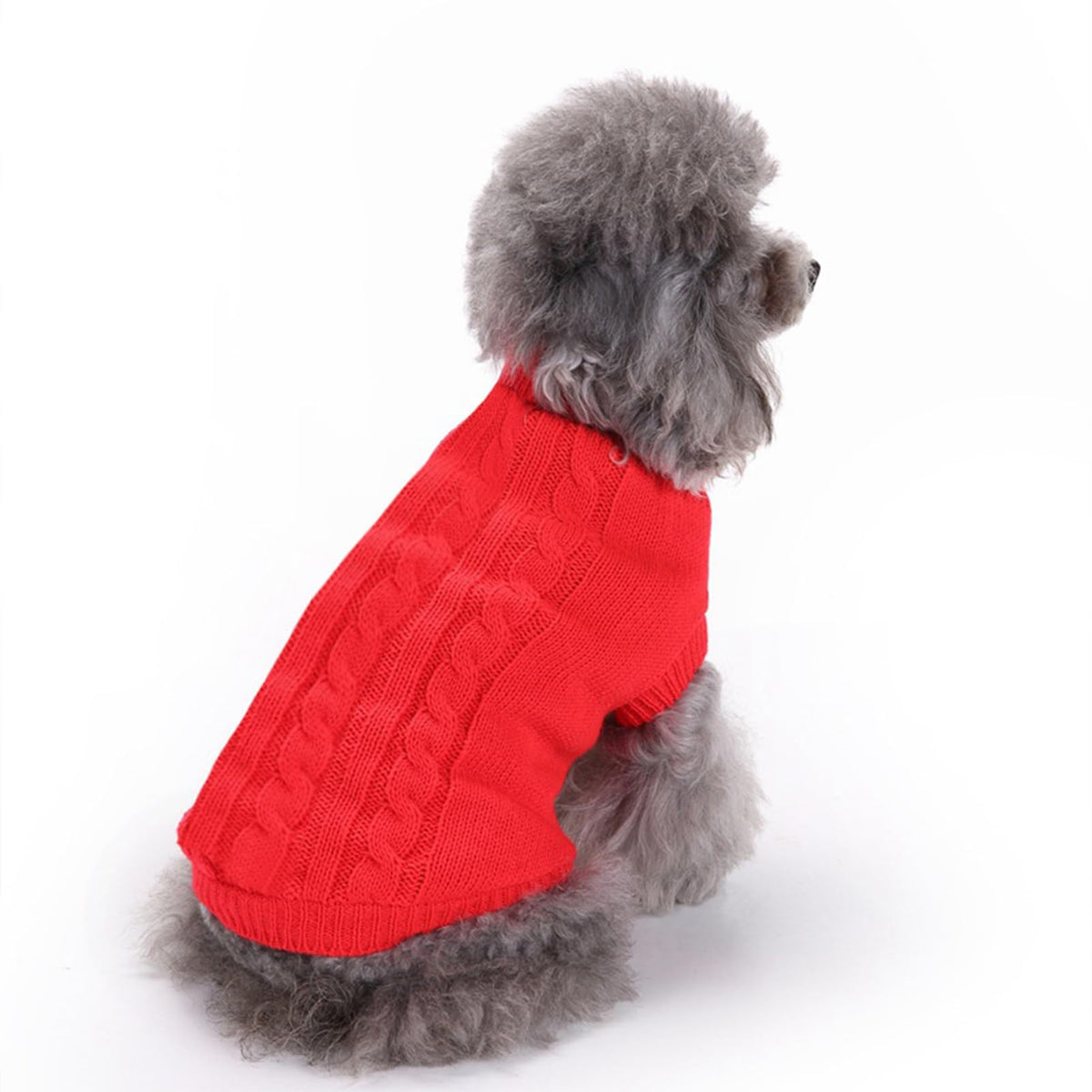 CHBORCHICEN suéter para perrito, vista frontal, ideal para salidas frías.