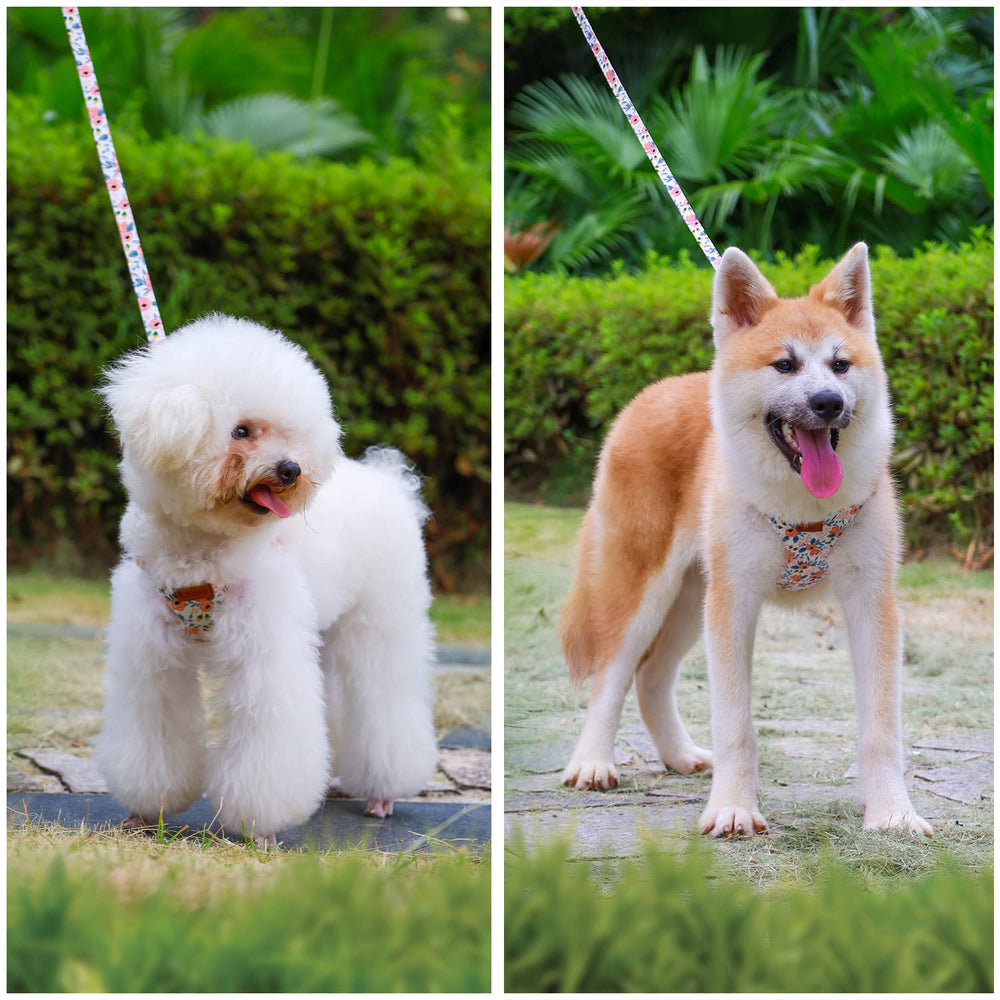 CHEDE diseño ajustable ideal para perros pequeños y medianos.