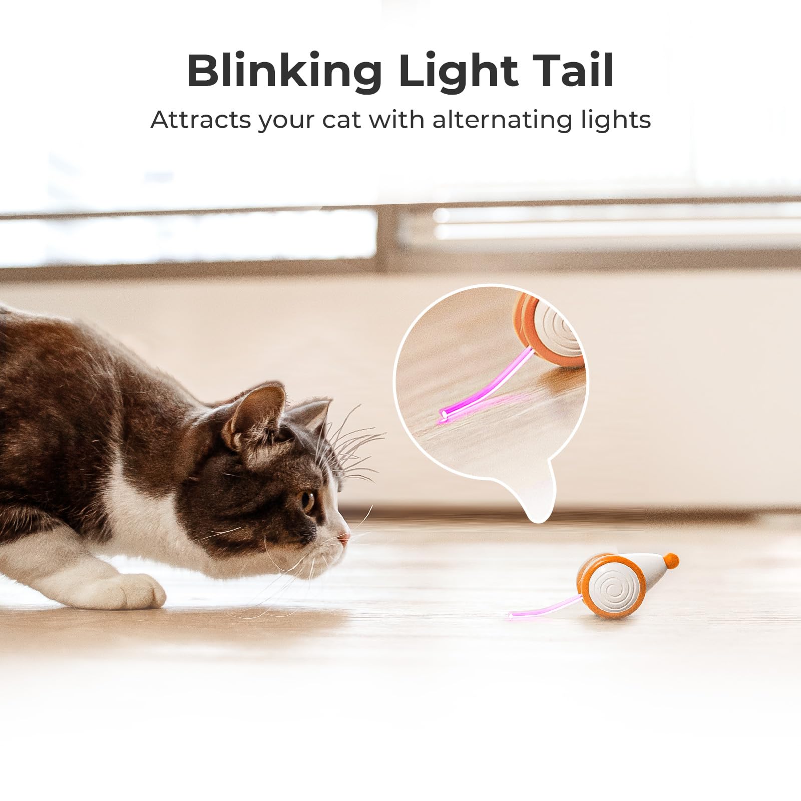 Cheerble Incluye cable USB para recargar y evitar pilas.