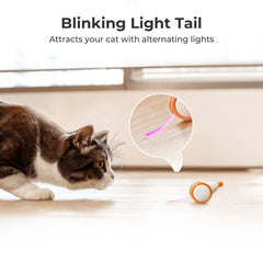 Cheerble Incluye cable USB para recargar y evitar pilas.