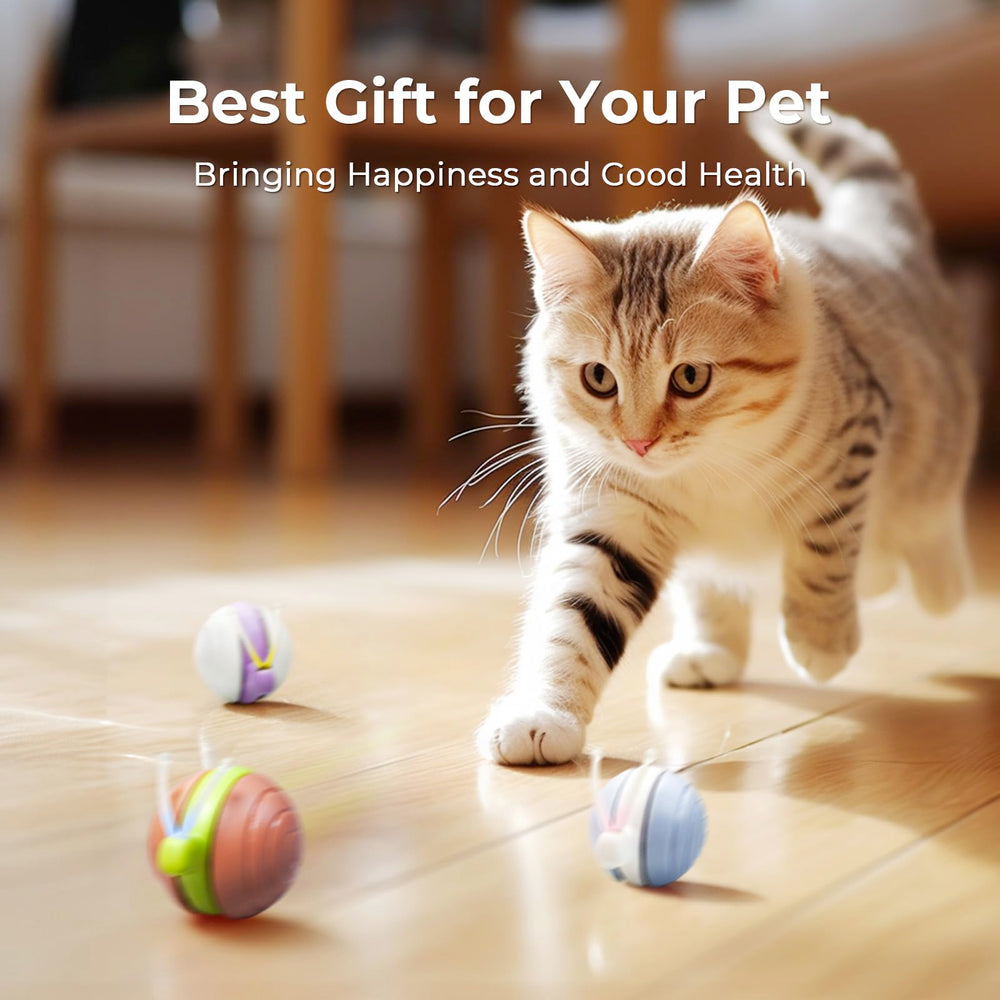 Cheerble Wicked Snail material suave y amigable con las patas.