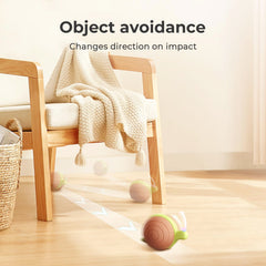 Cheerble Wicked Snail ruta automatizada para juego continuo y seguro.