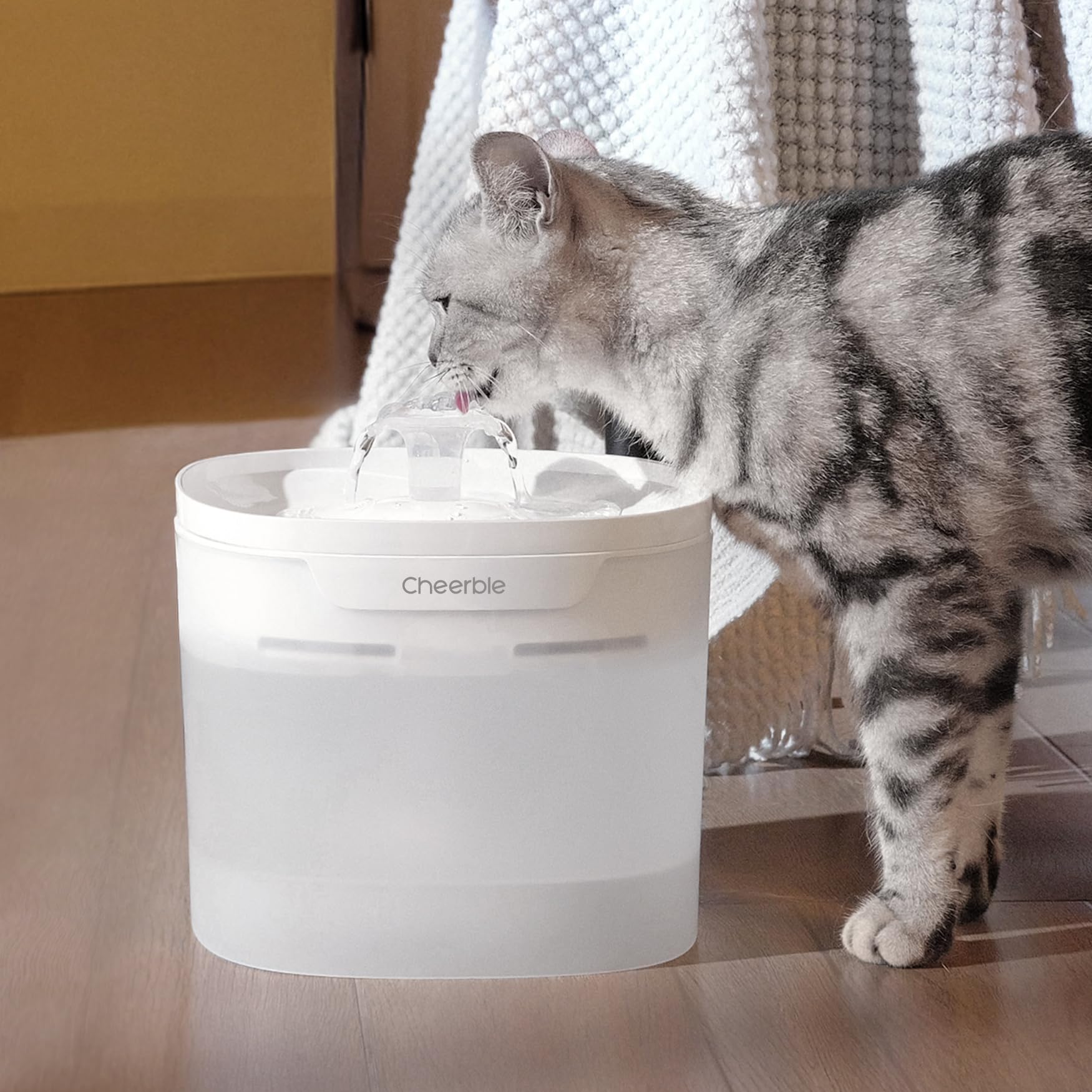 Material PP alimentario en Cheerble E1 Lite, seguridad para gatos.