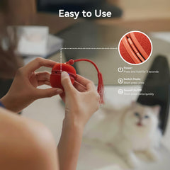 Orden de movimientos erráticos y pausas que invitan a perseguir