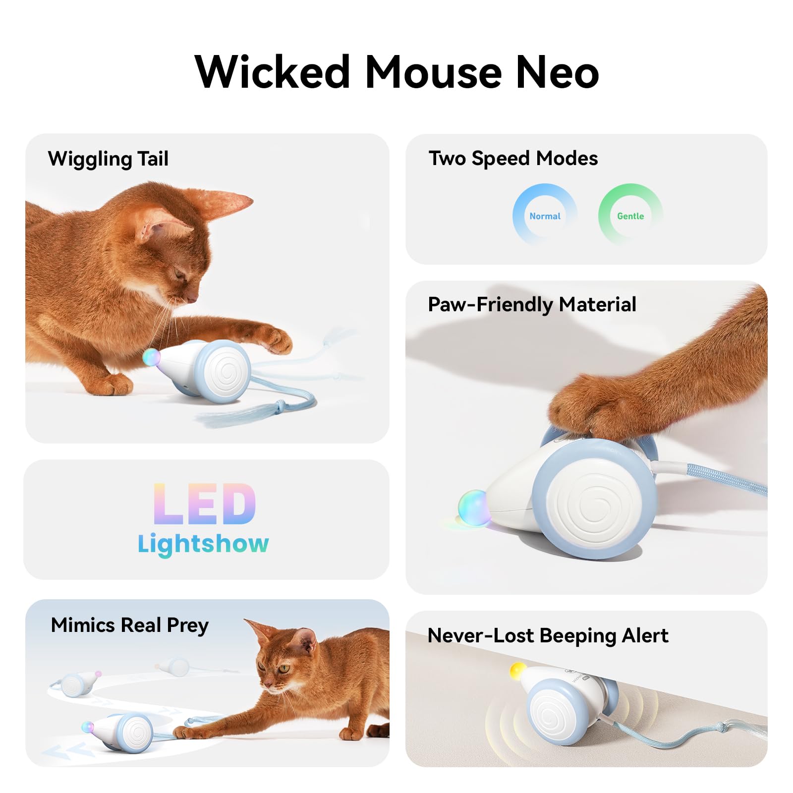 Cheerble Wicked Mouse Neo demuestra movimiento impredecible para juego activo.