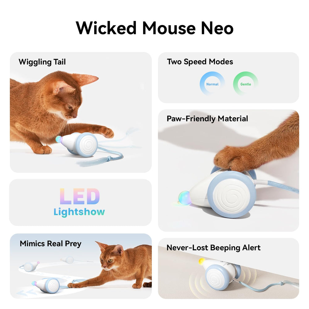 Cheerble Wicked Mouse Neo demuestra movimiento impredecible para juego activo.