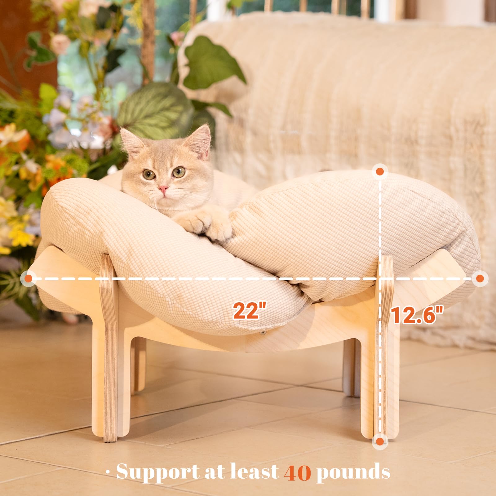 Capacidad de cuarenta libras para gatos y perros pequeños con Cheerhome Pets.