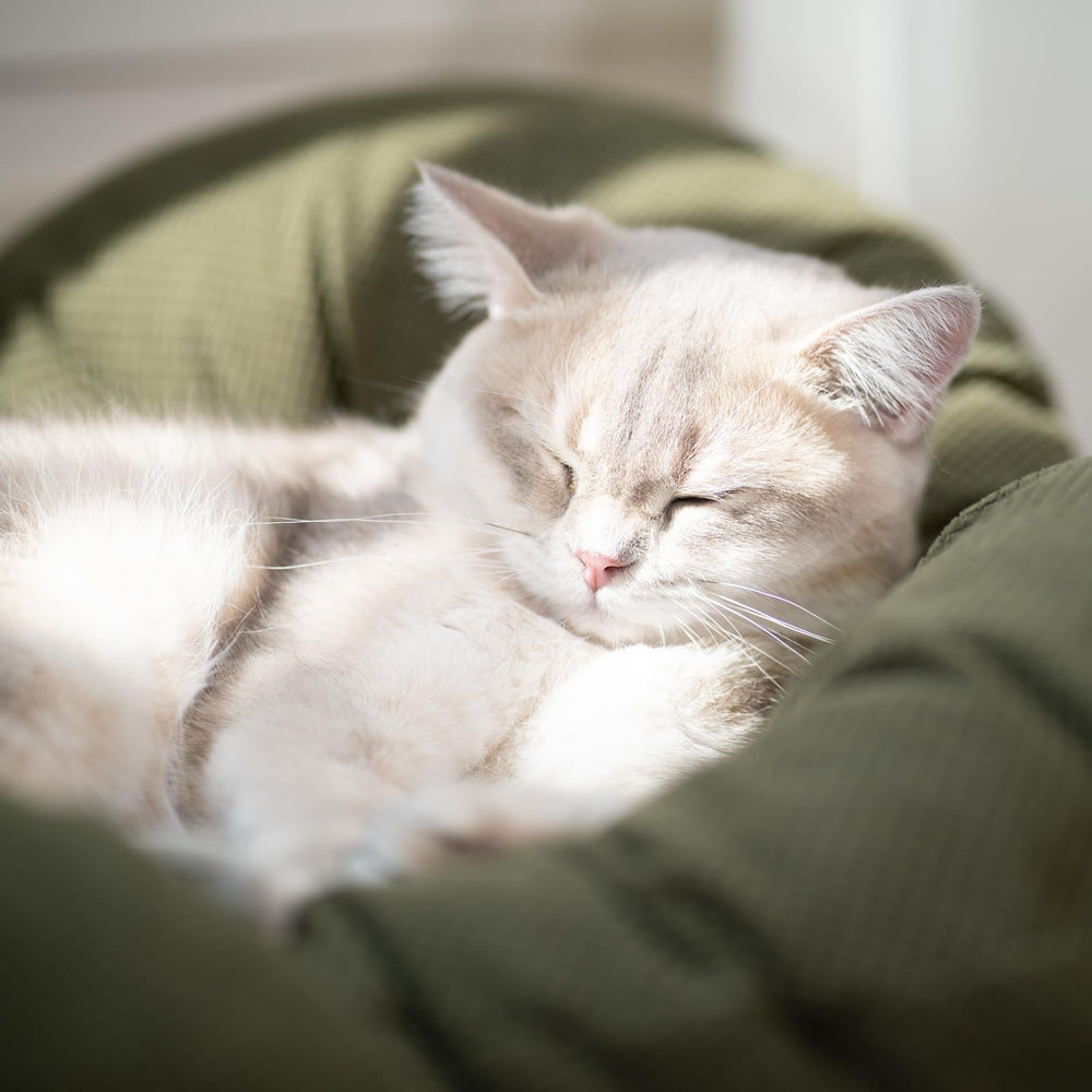 CHEERHOME PETS Soporta hasta 18 kg para mayor seguridad.