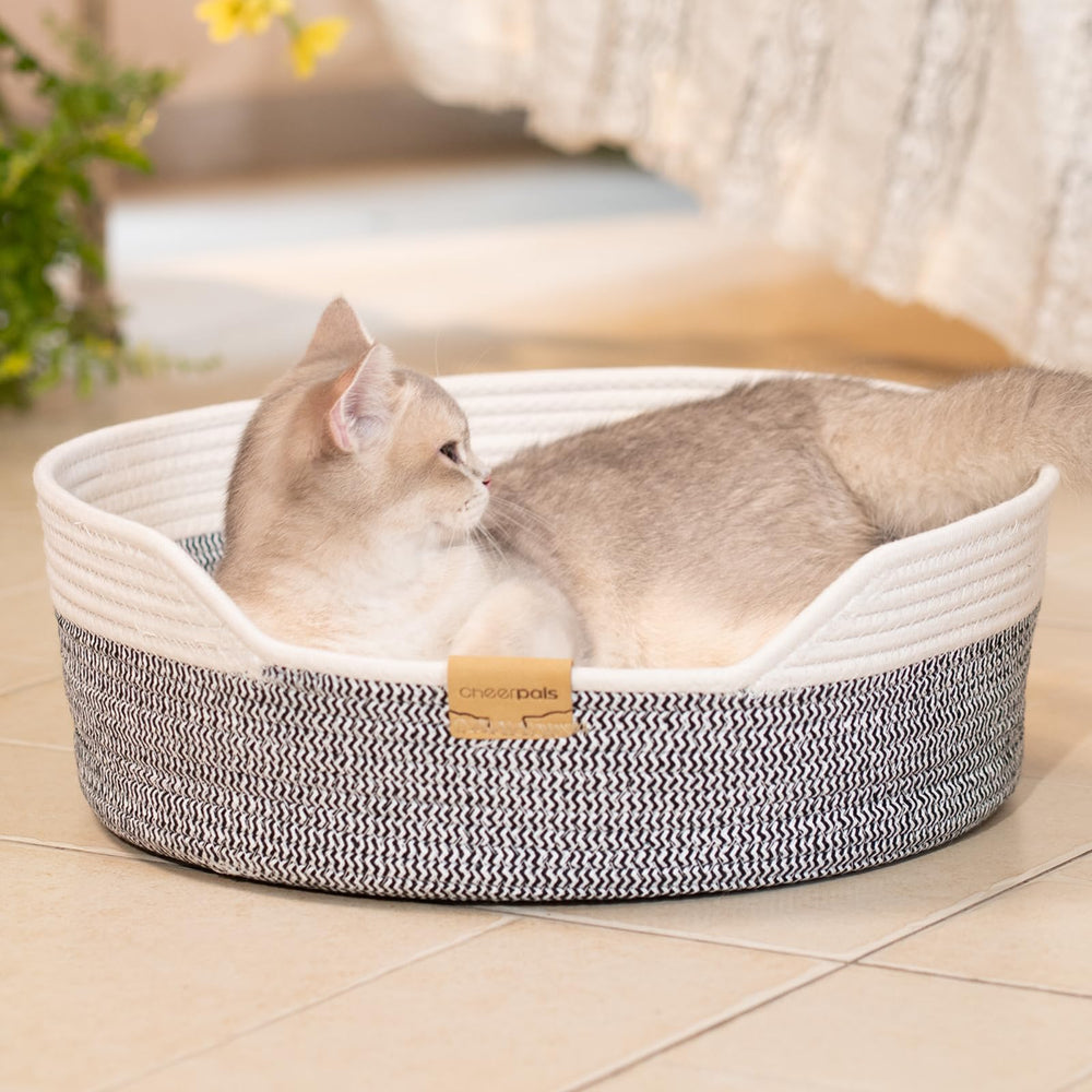 CHEERHOME PETS: espacio de descanso relajante para momentos de sueño tranquilizador.