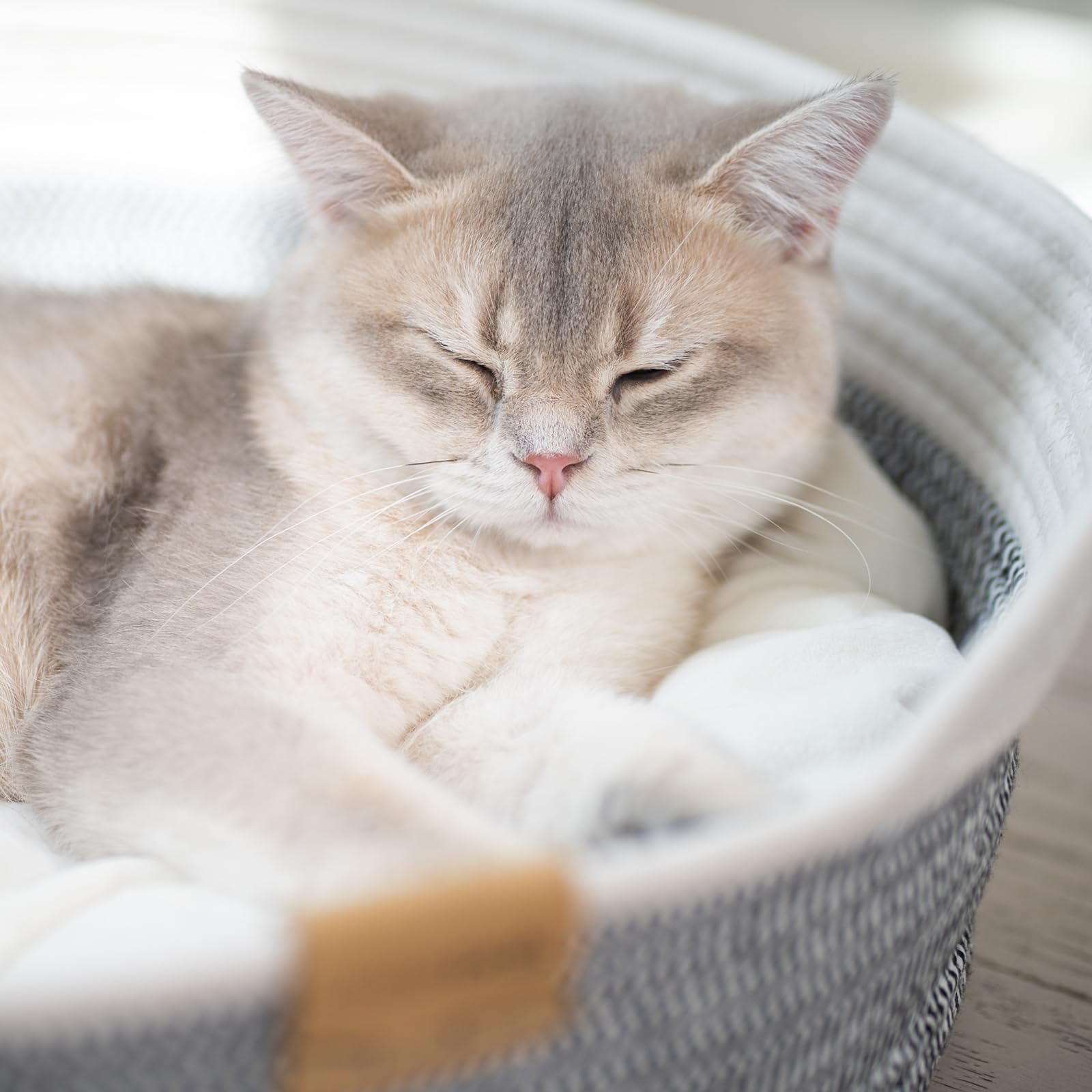 CHEERHOME PETS: estética gris neutro que combina con cualquier interior.