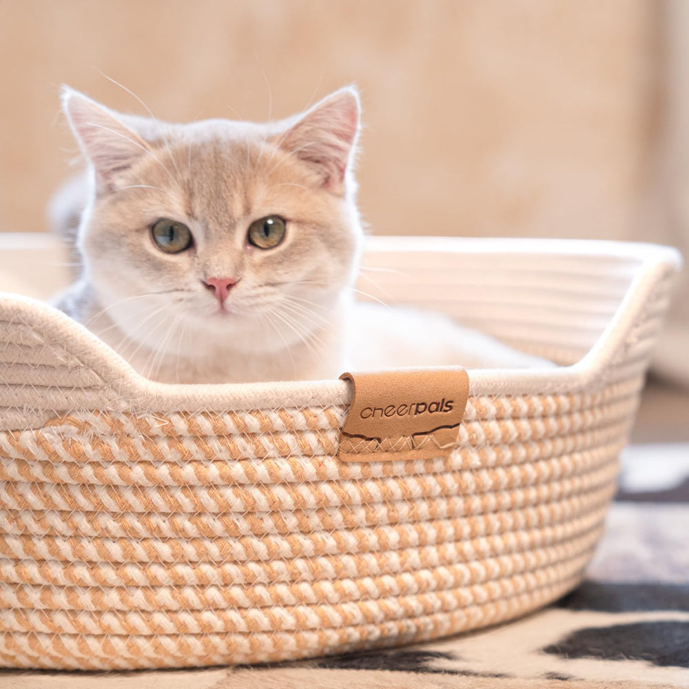 CHEERHOME PETS diseño versátil para todas las estaciones del año.
