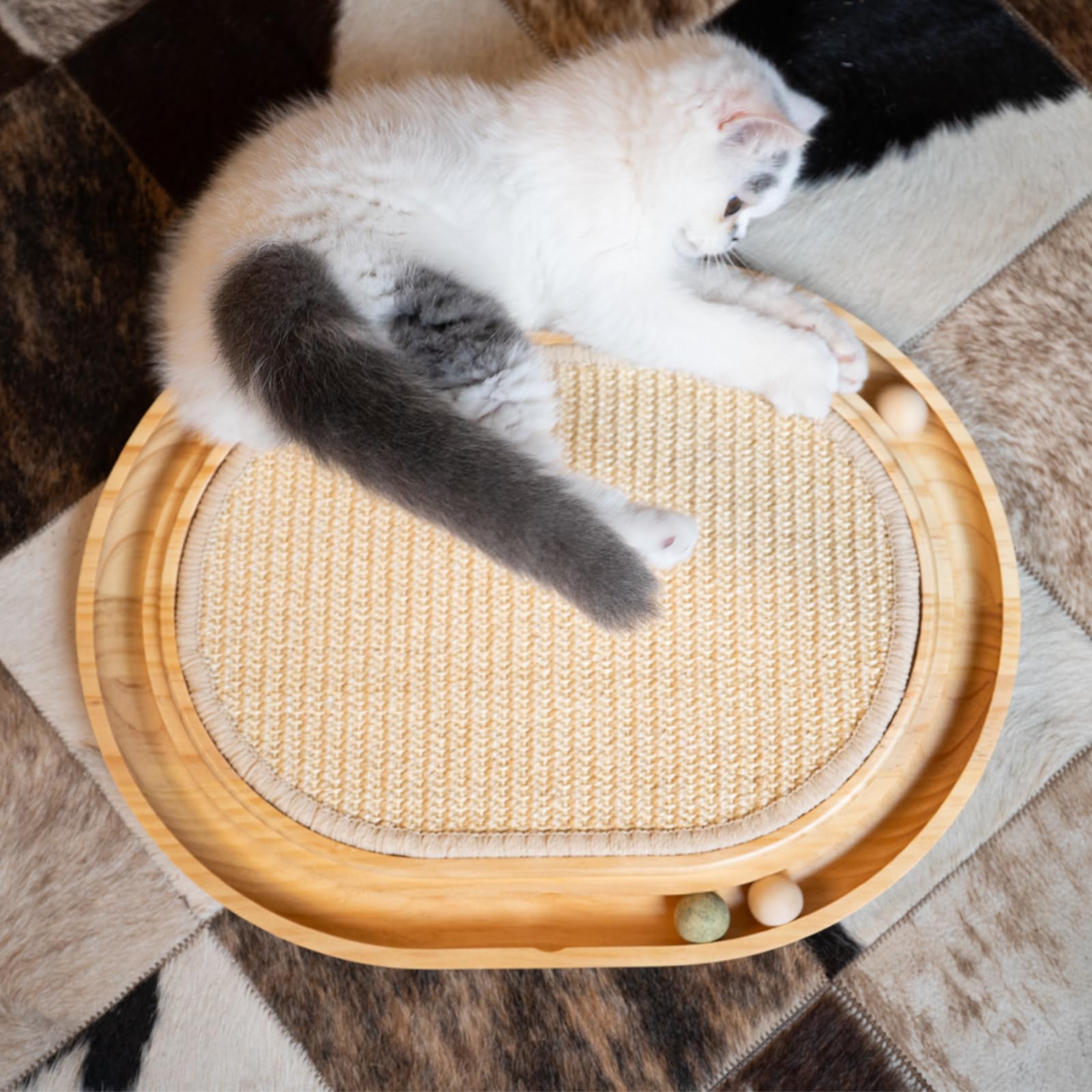 CHEERHOME PETS juego interactivo para gatos dentro de casa