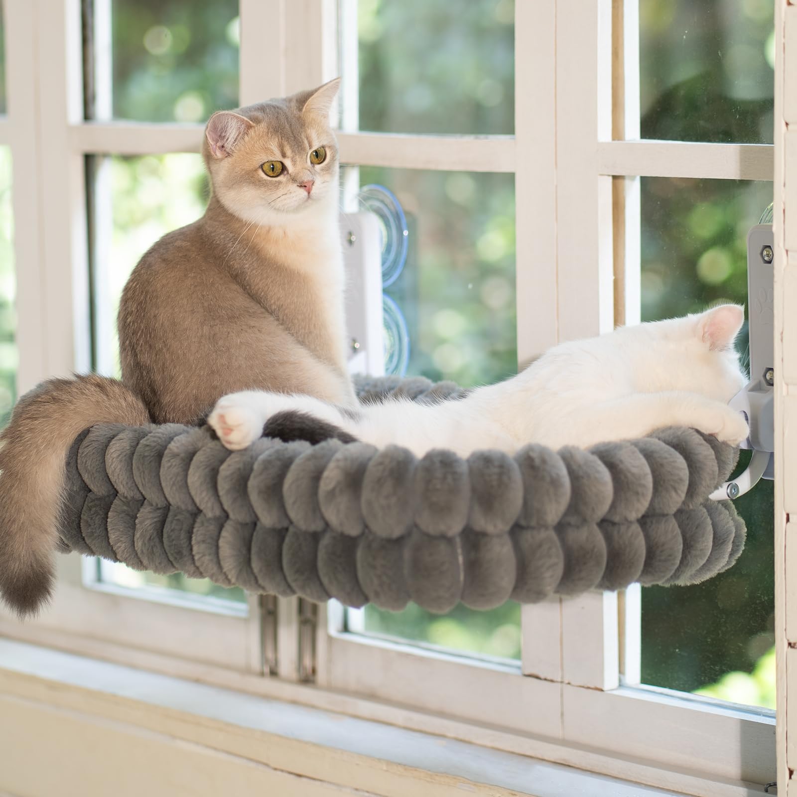 CHEERPALS compatibilidad-todos-gatos: apto para gatos de diferentes tamaños.
