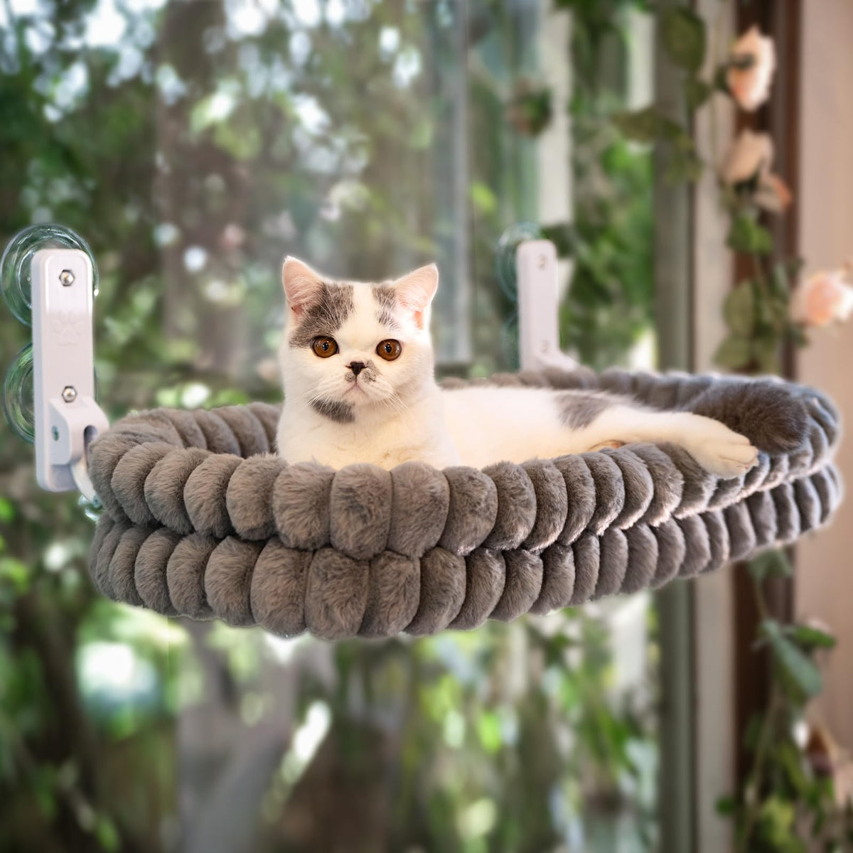 CHEERPALS percha de ventana para gato en terciopelo gris, descanso cómodo junto a la vista exterior.