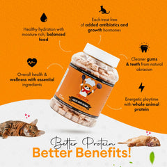 Chef Kitty salmón liofilizado, envase de 5.3 oz para snack práctico.