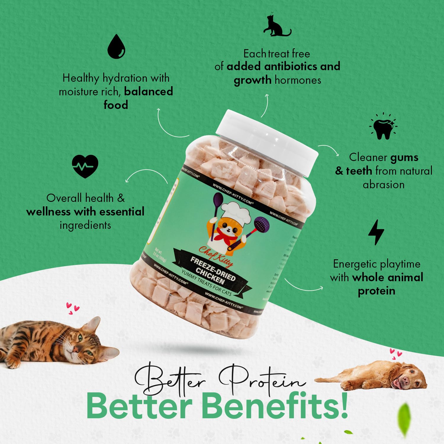 Chef Kitty pollo deshidratado alto proteína, ideal para premiar durante el día