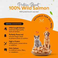 Chef Kitty producto con proceso cuidadoso, conserva sabor y nutrientes.