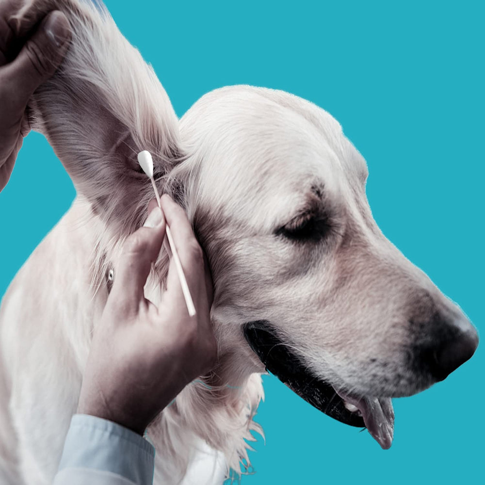 Diseño profesional para perros, algodón absorbente para limpieza precisa.