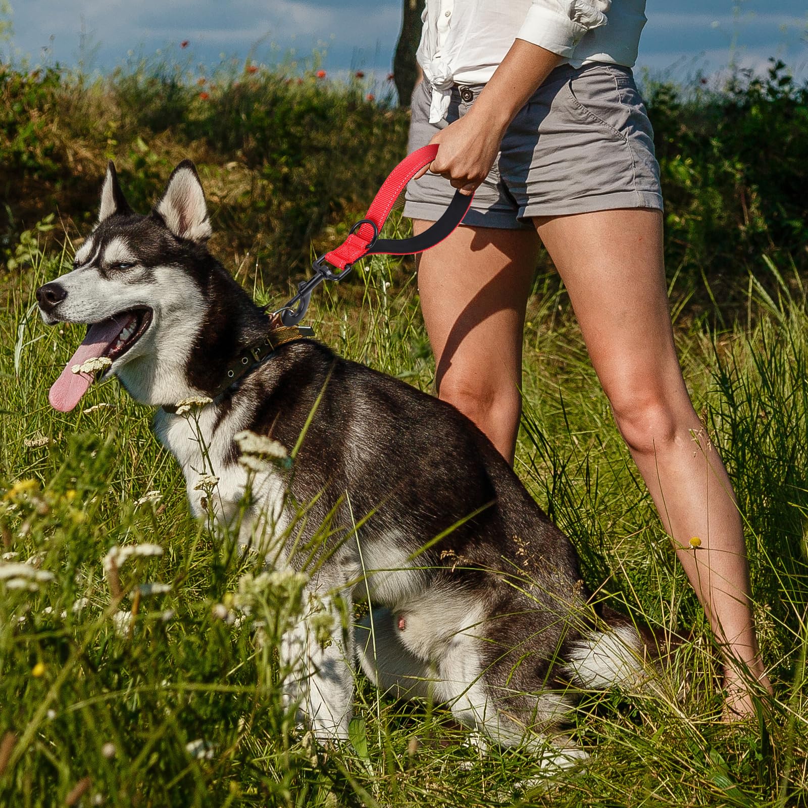 CHENEDY para perros grandes, longitud corta para control cercano.