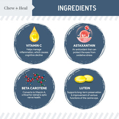 Aceite de algas Omega-3 de Chew + Heal Labs para retina y pelaje de perros.
