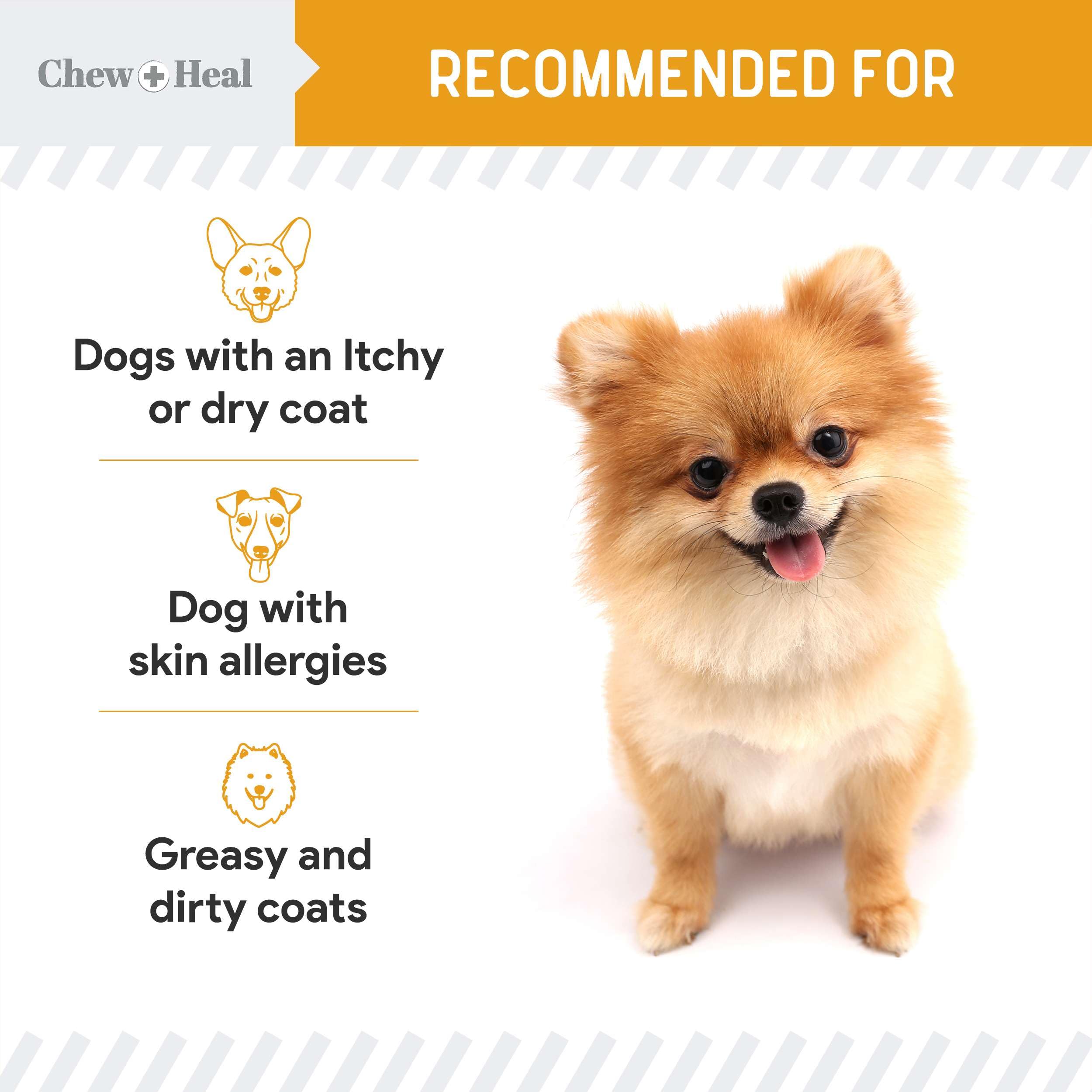 Chew + Heal Labs aceite de salmón para perro, mezclado en comida
