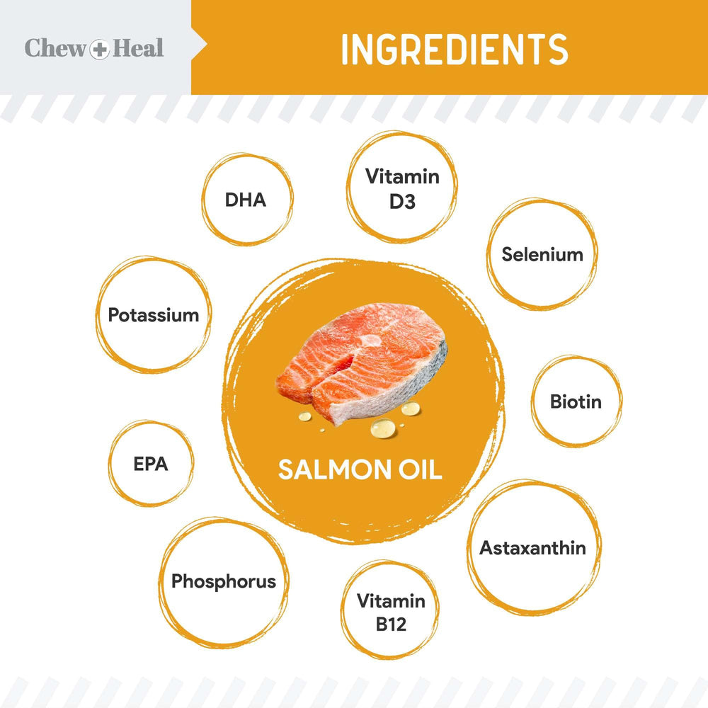 Chew + Heal Labs aceite de salmón para perro, taza medidora, dosis precisa