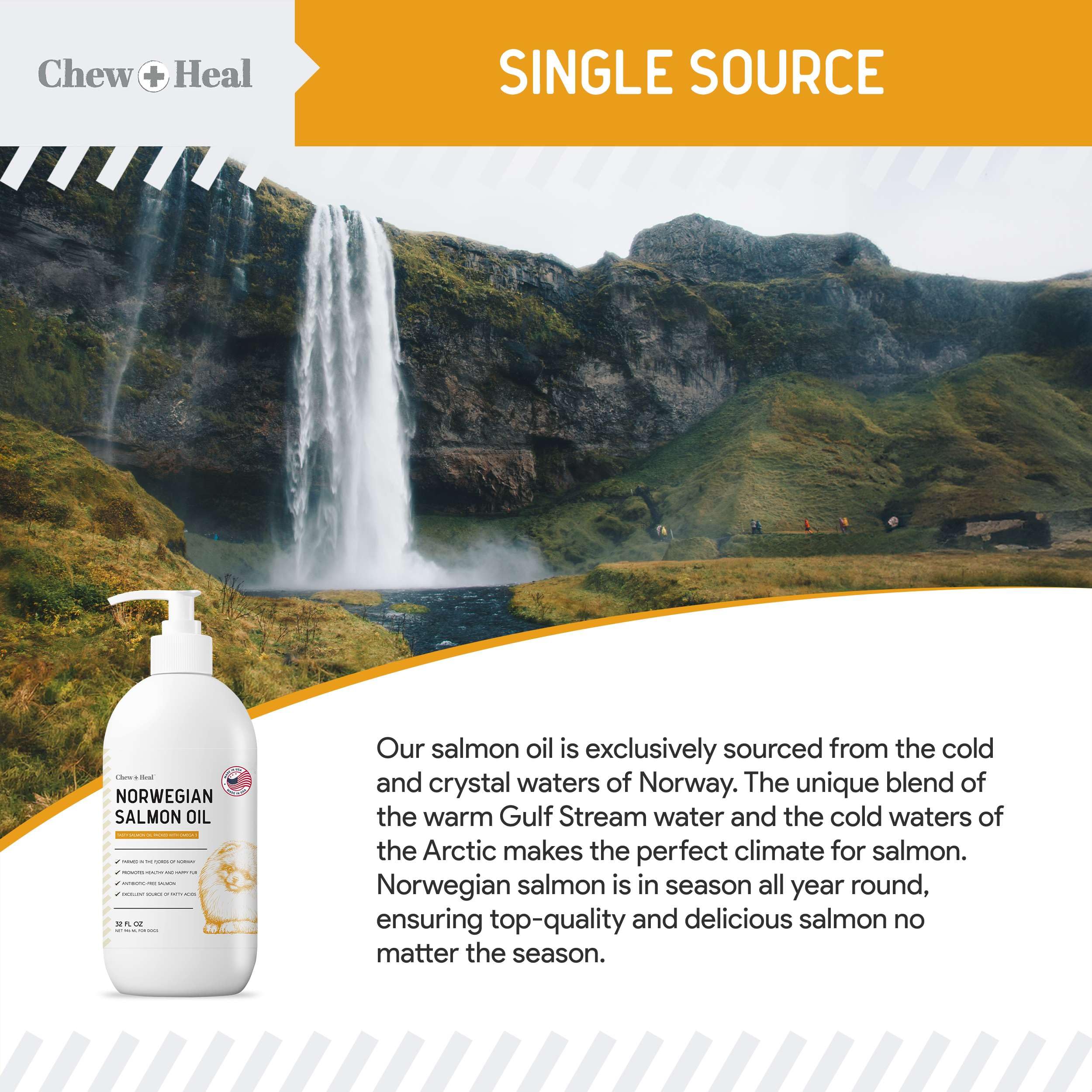 Chew + Heal Labs aceite de salmón para perro, uso diario