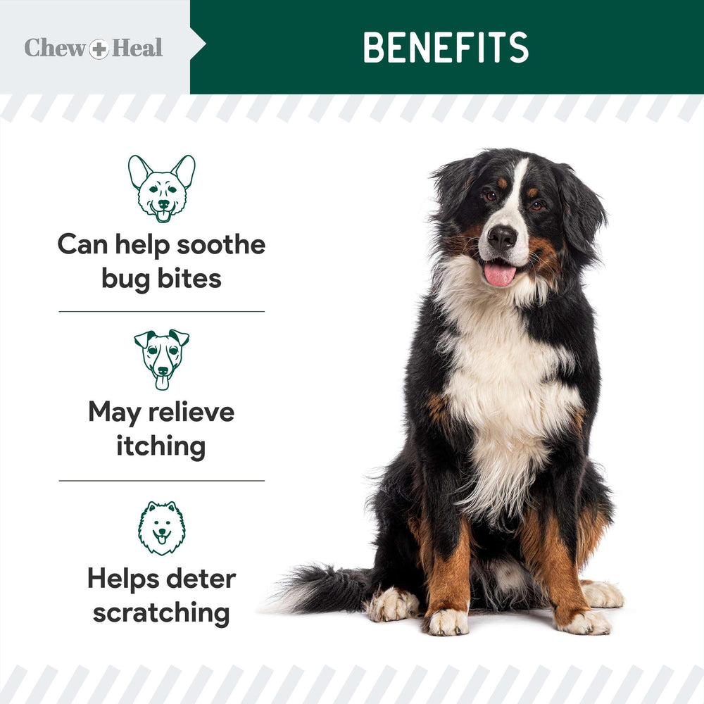 Chew + Heal Labs aplicación en la piel del perro para zonas irritadas