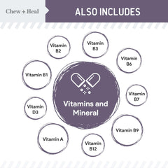 Chew + Heal Labs calabaza: fuente natural para la salud digestiva.