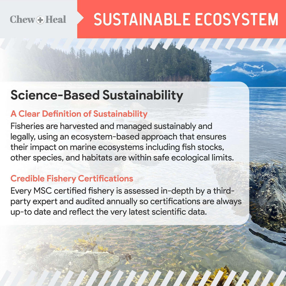 Chew + Heal Labs - certificación MSC destaca pesca sostenible.