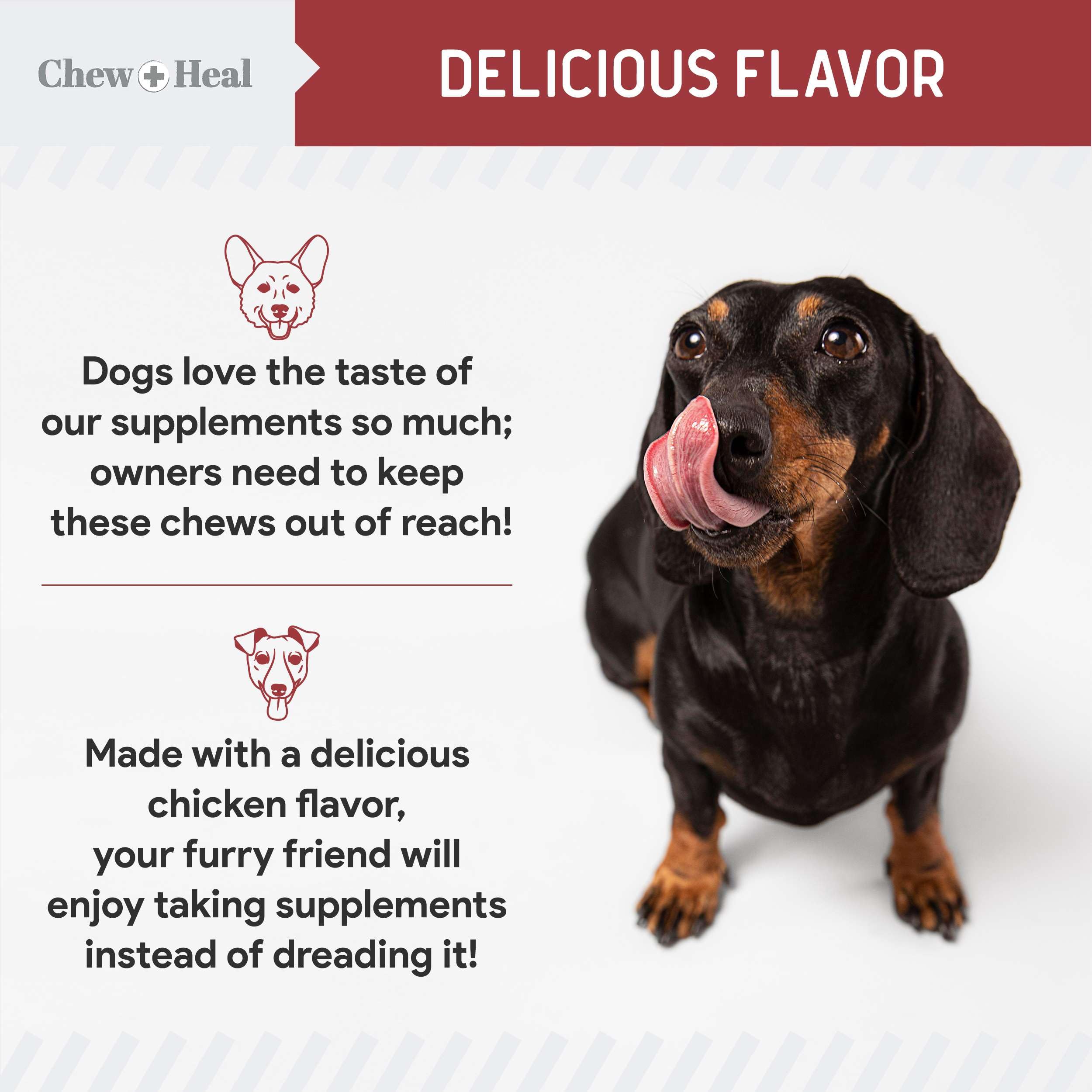 Chew + Heal Labs: apoyo a la inmunidad de perros mediante fórmula equilibrada