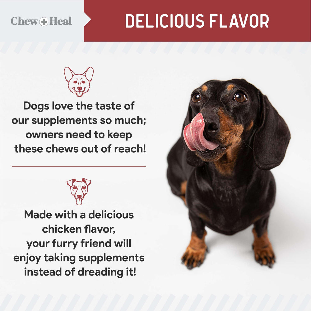 Chew + Heal Labs: apoyo a la inmunidad de perros mediante fórmula equilibrada