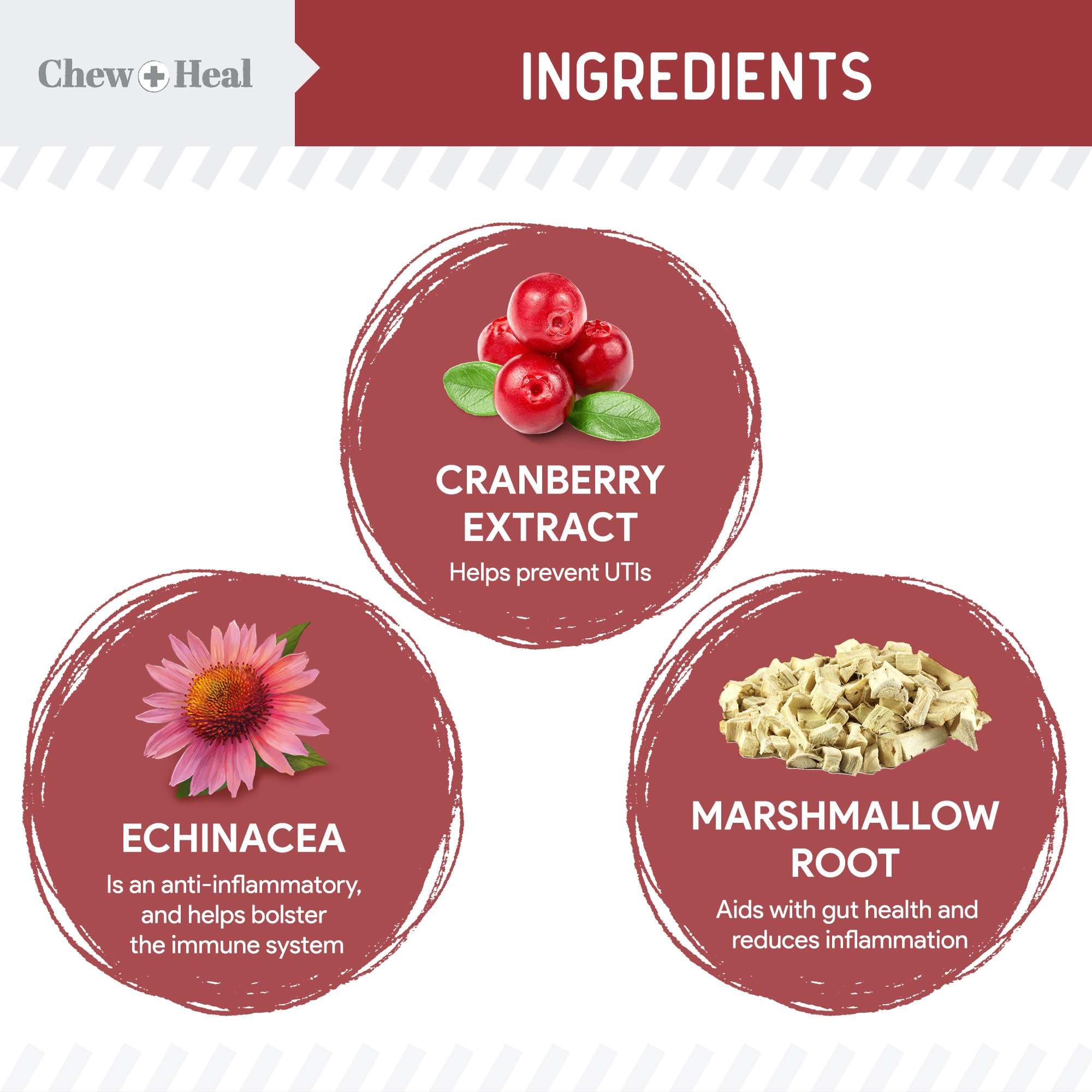 Chew + Heal Labs: ingredientes naturales para apoyo urinario y inmunidad del perro