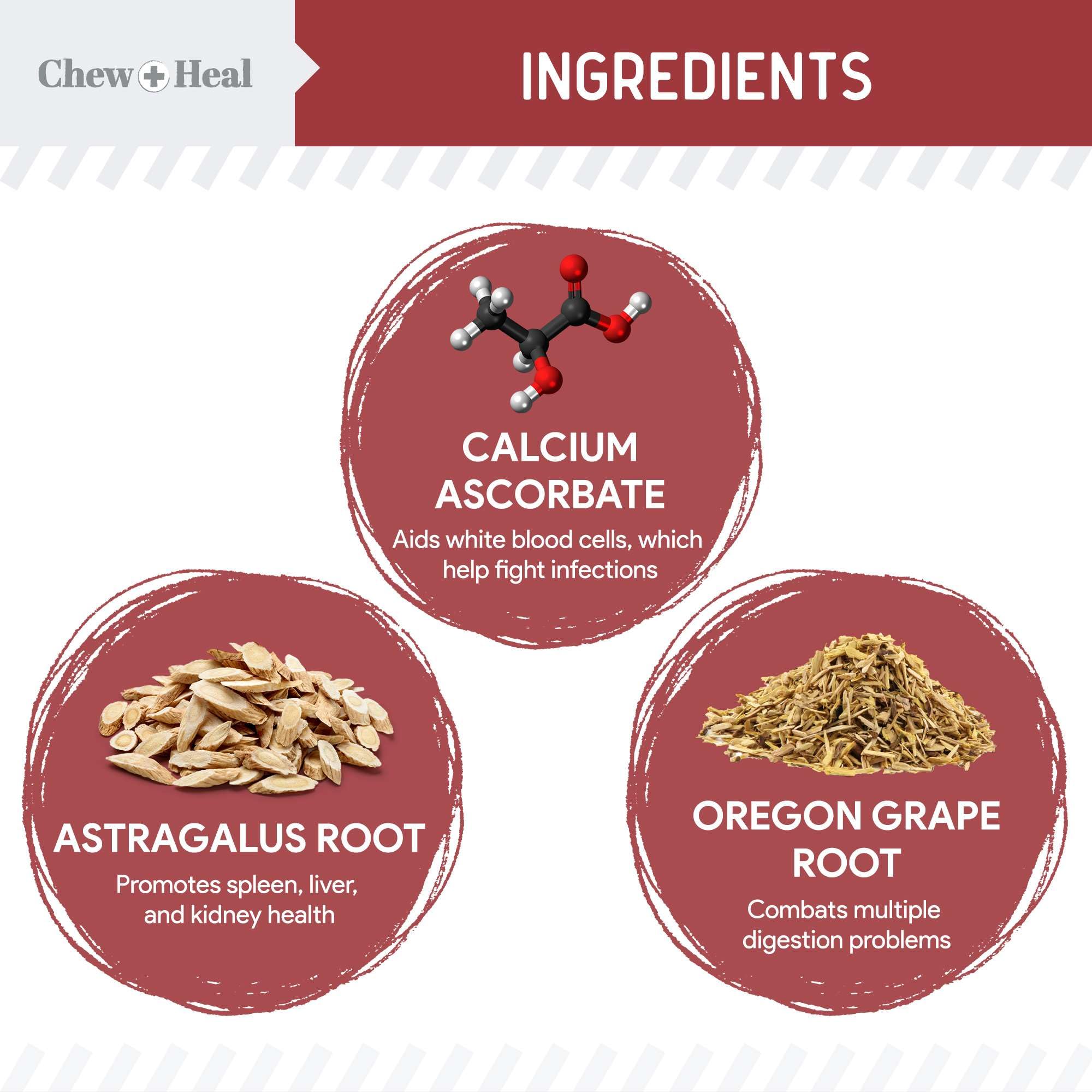 Chew + Heal Labs: vitamina C y astrágalo para soporte antioxidante en perros