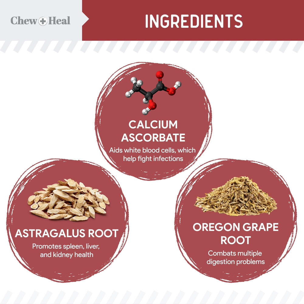 Chew + Heal Labs: vitamina C y astrágalo para soporte antioxidante en perros
