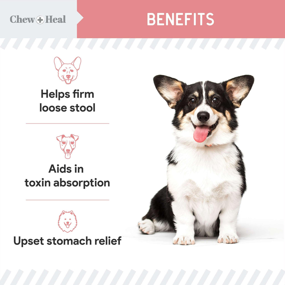 Etiqueta clara y profesional de Chew + Heal Labs para uso seguro.
