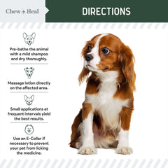 Zona irritada tratada con loción hidrocortisona para perro con Chew + Heal Labs.