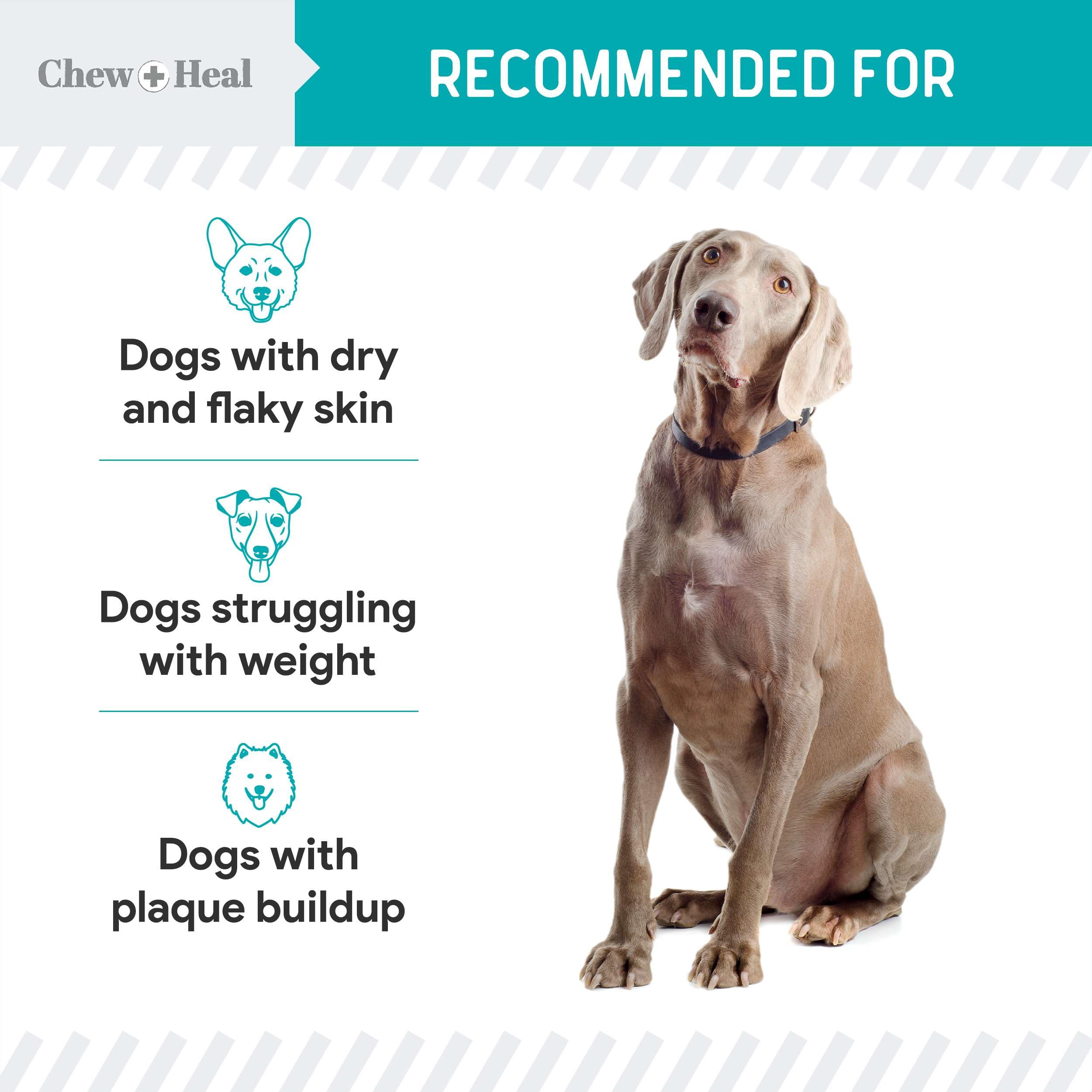 Chew + Heal Labs Kelp integrado en alimento seco para rutina diaria.
