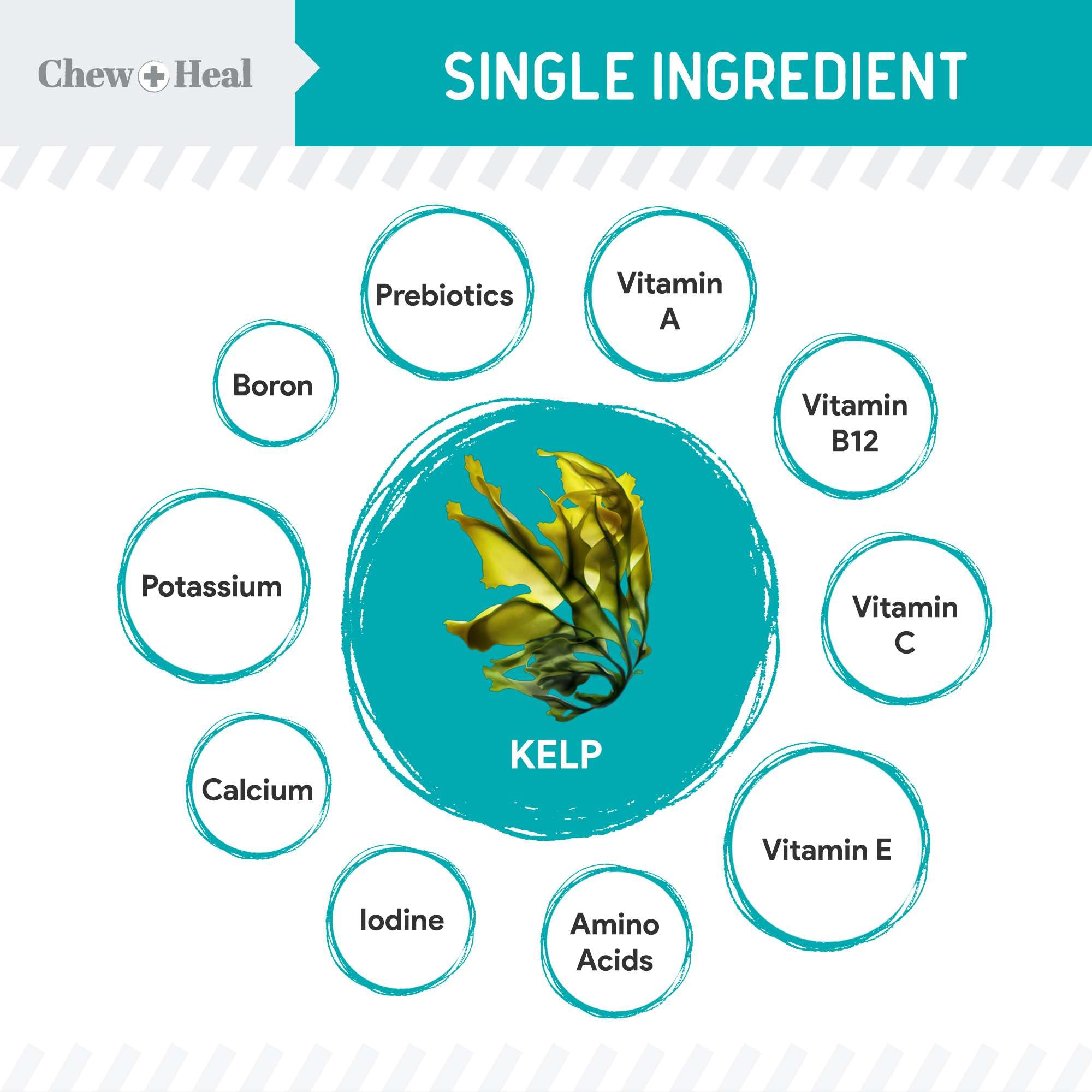 Textura granulada de Kelp de Chew + Heal Labs, se mezcla fácilmente.