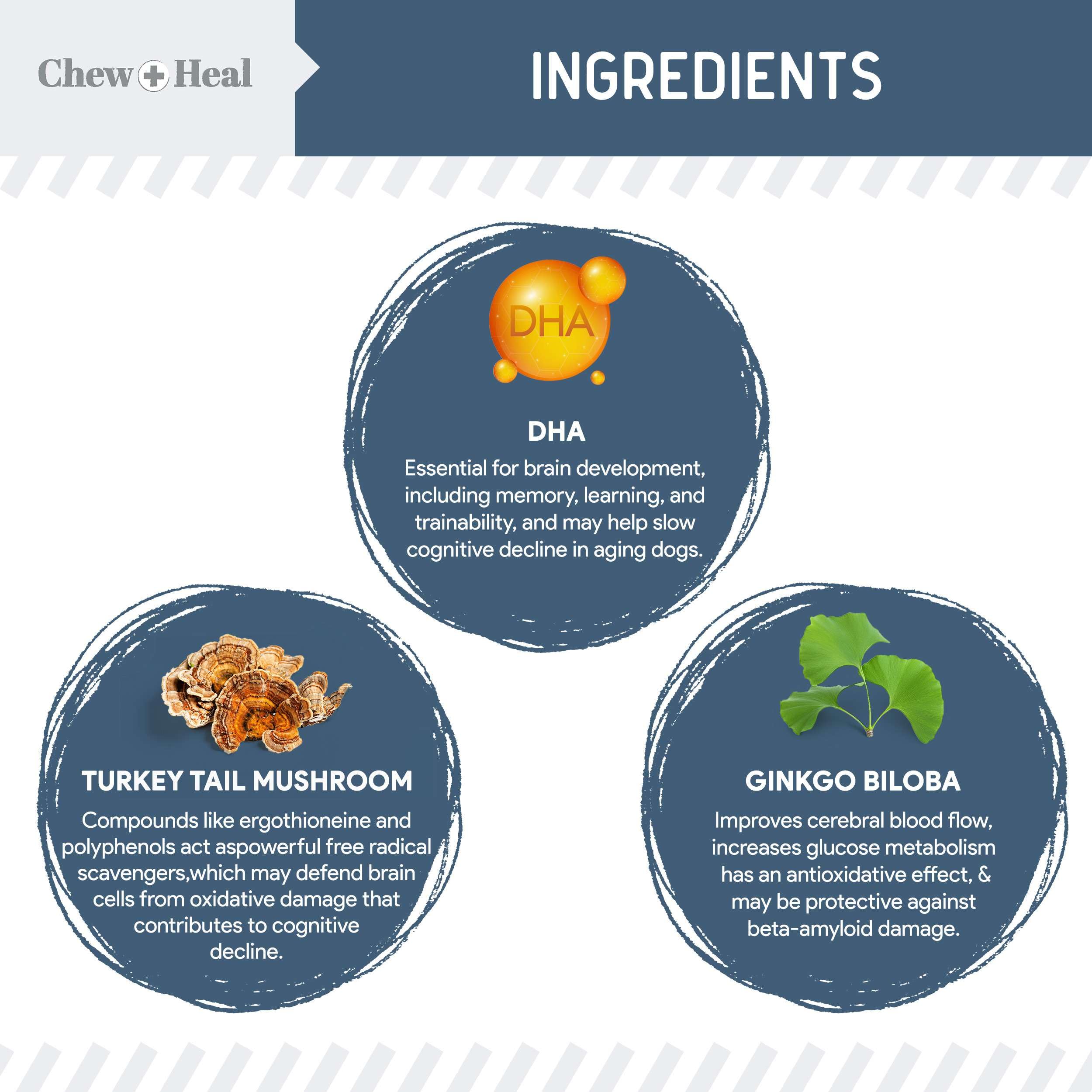 Masticables de Chew + Heal Labs para cognición canina, posible mejora de memoria.