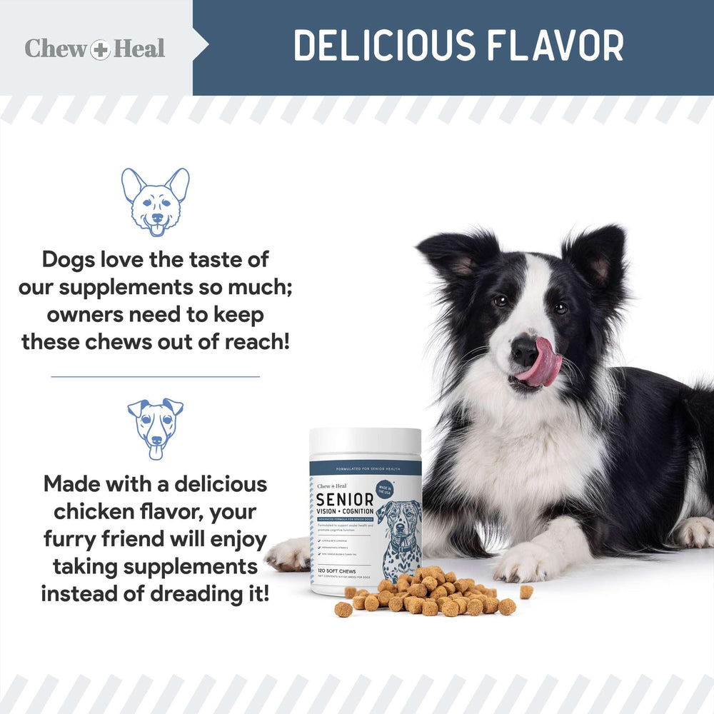 Masticables suaves de Chew + Heal Labs, fáciles de usar para perros senior.