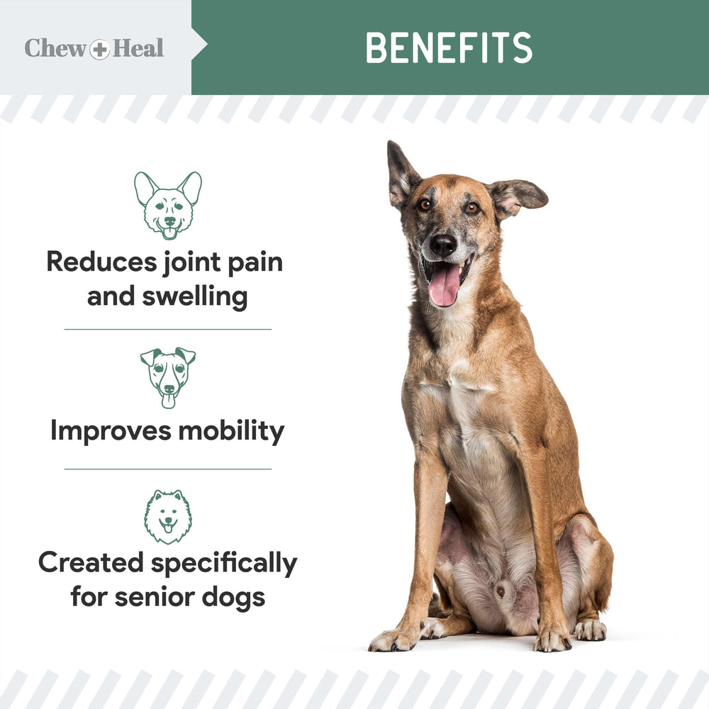 Mejillón verde yyucca en Chew + Heal Labs para apoyo articular natural.