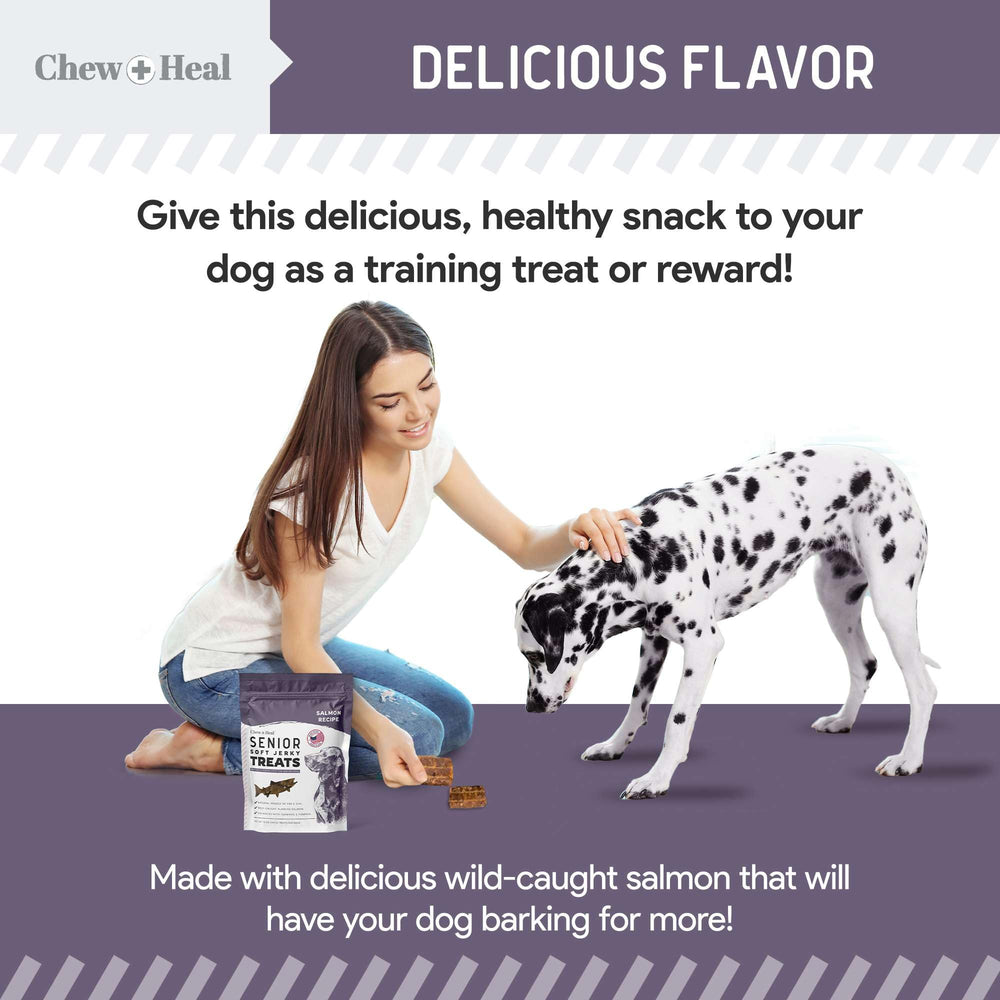 Ideal para perros mayores con masticación suave y fácil manejo.
