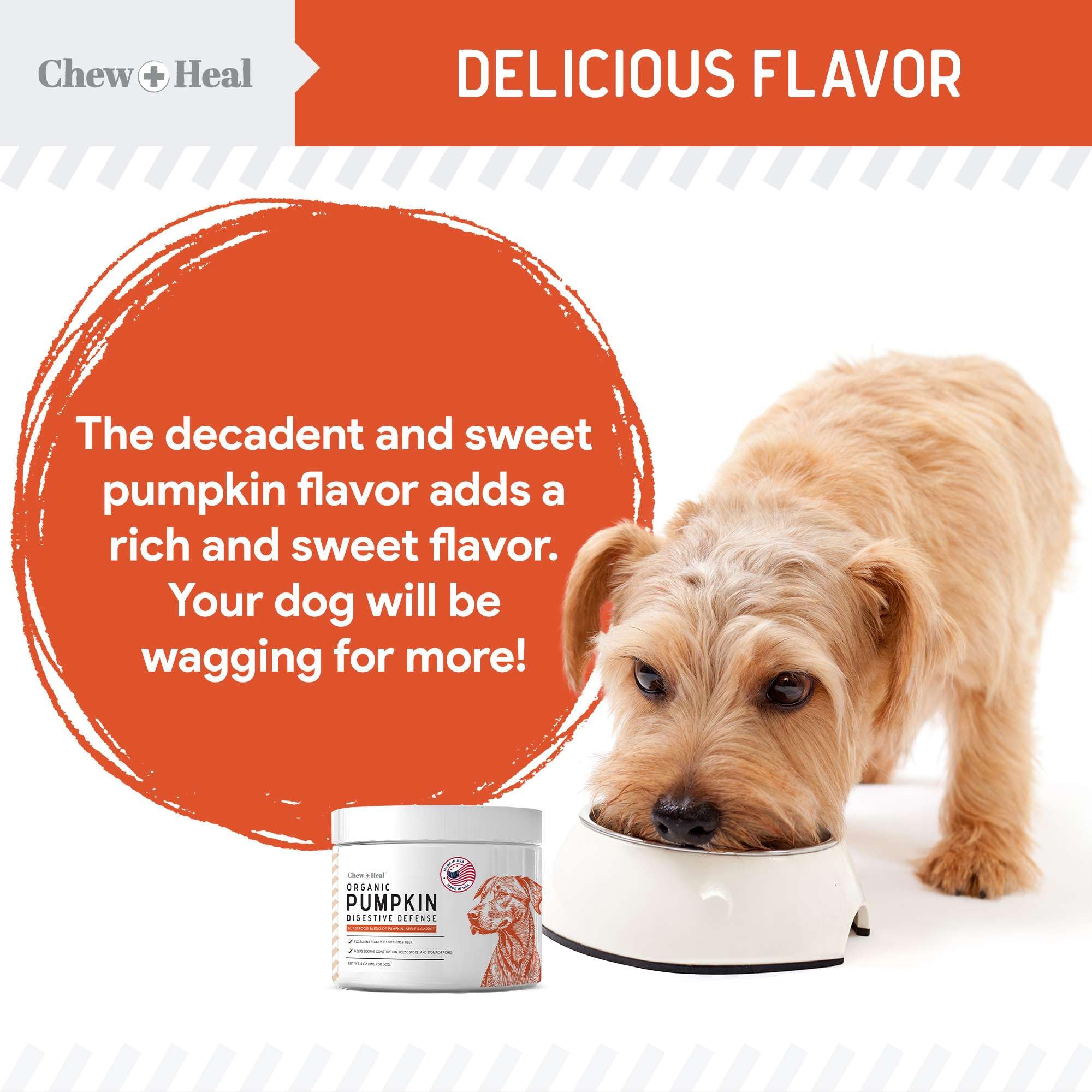 Puré de calabaza casero para perros con Chew + Heal Labs.